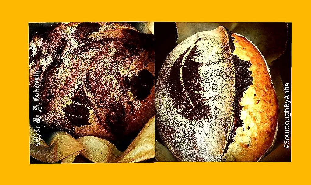 sourdough