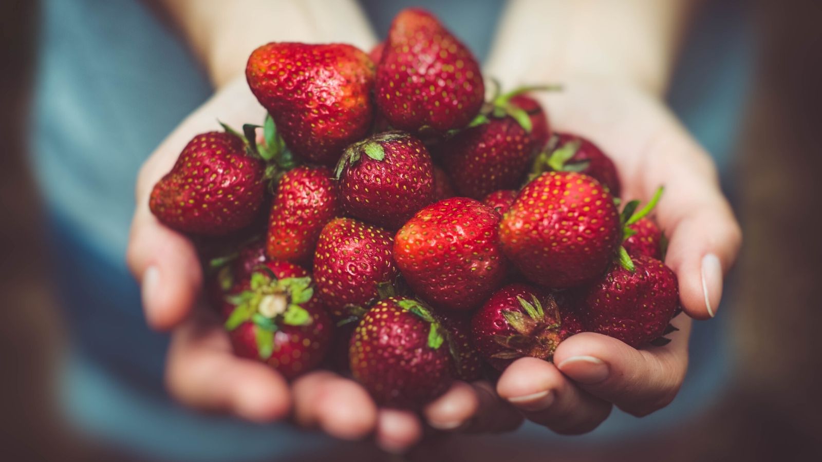 strawberries