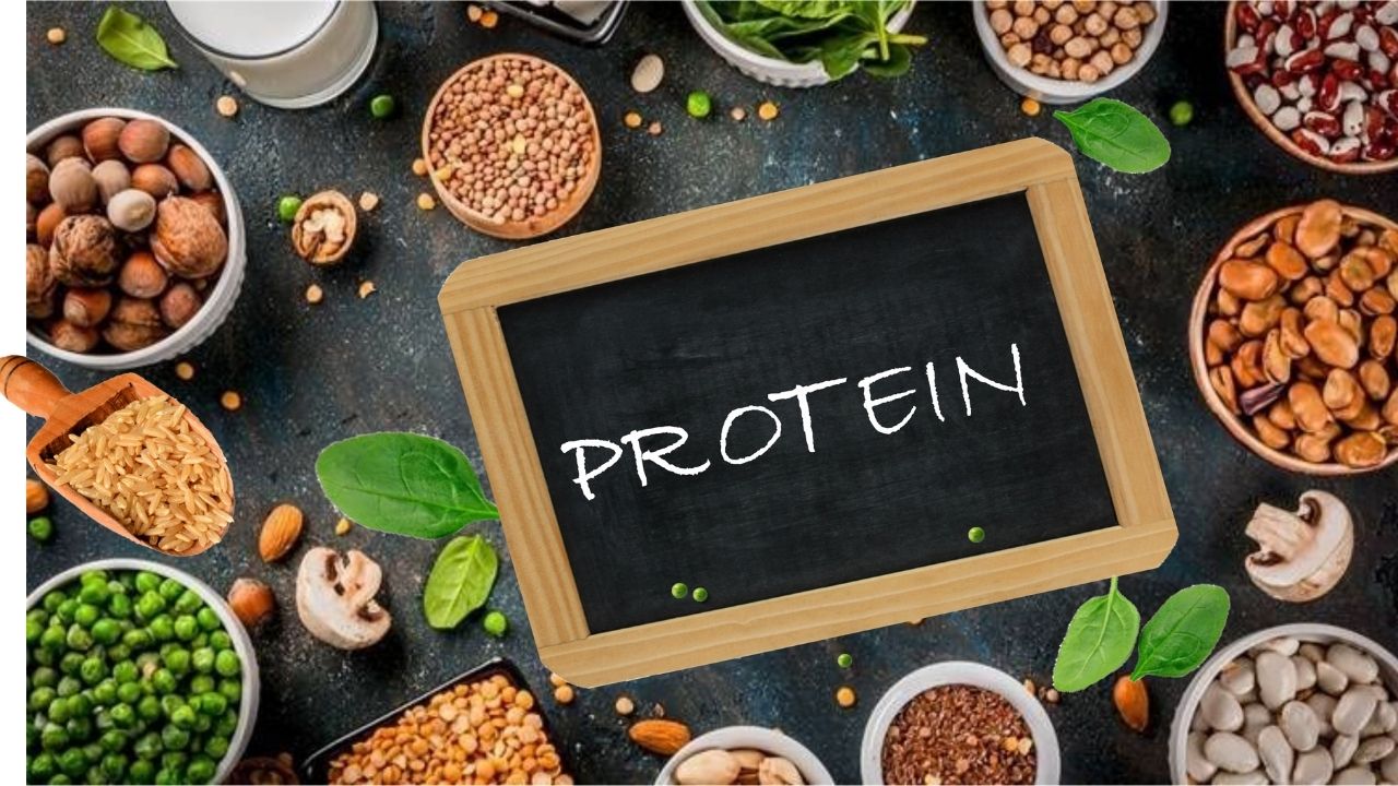 Protuf Plant Protein