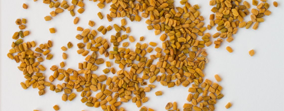 fenugreek-seeds-methi-benefits