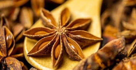 star anise benefits