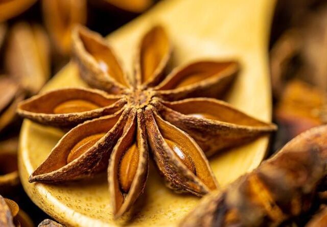 star anise benefits