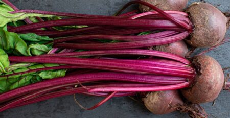 beetroot benefits-2