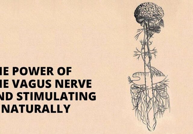 how to stimulate the vagus nerve